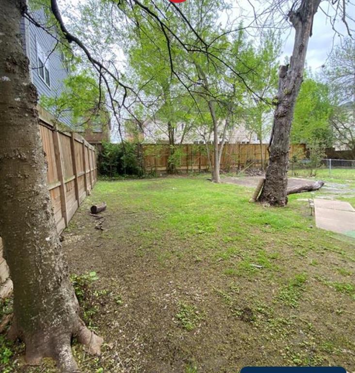 a view of a backyard with large trees