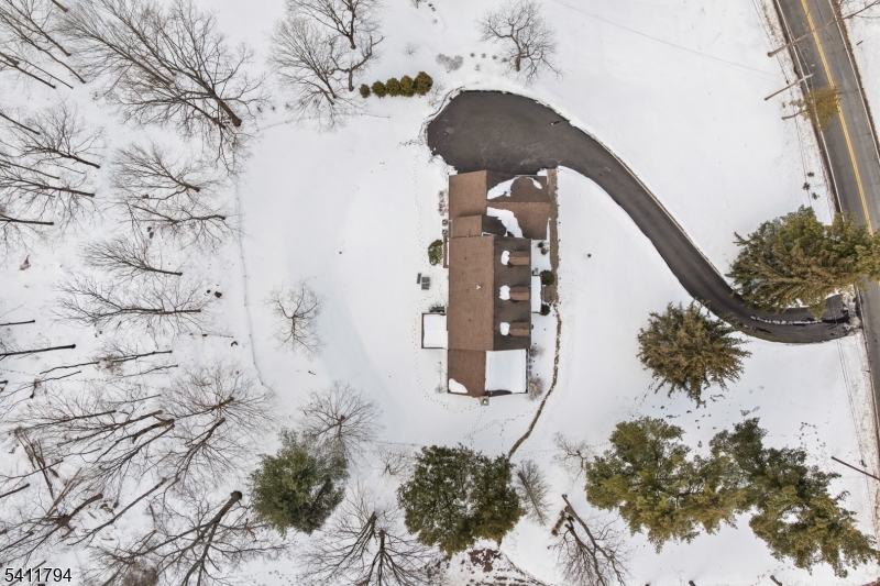 59 Station Road Somerville, NJ 08876 - Photo 44 of 44