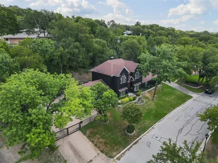 a view of a garden with a large tree