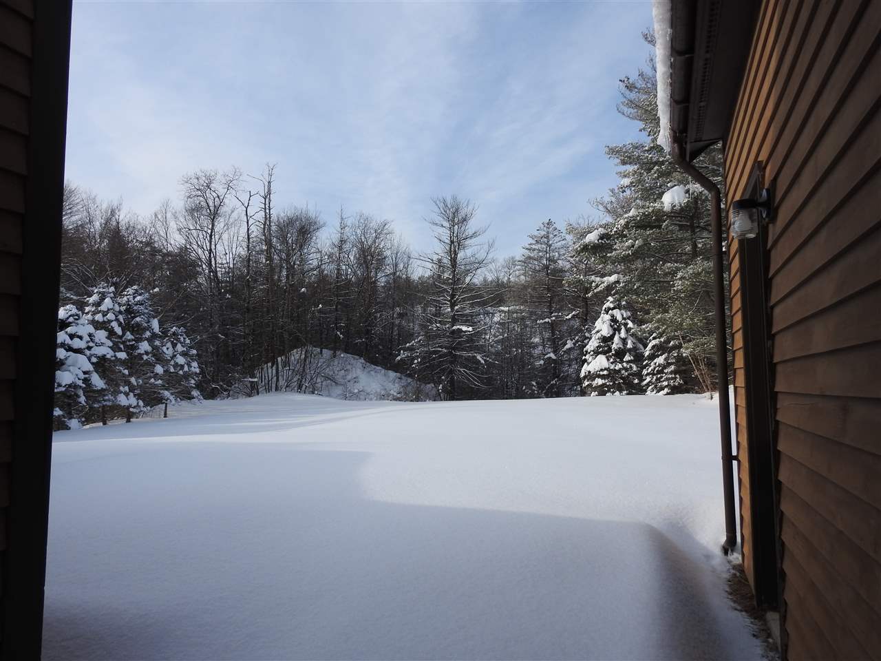 111 Brown Lane Castleton, VT 05735 - Photo 2 of 16