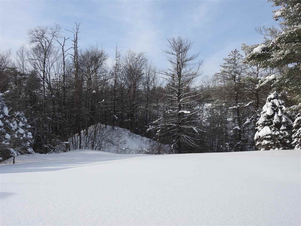 111 Brown Lane Castleton, VT 05735 - Photo 4 of 16