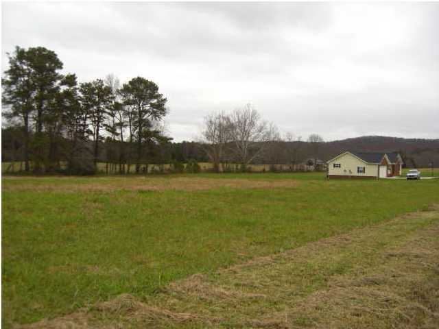 12 Mt Vernon Road Ringgold, GA 30736 - Photo 4 of 4 Additional Photo
