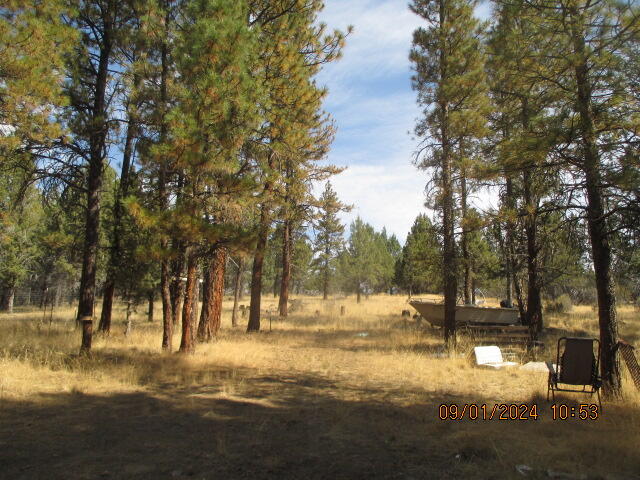 Lot 16 South Packsaddle Circle Beatty, OR 97621 - Photo 10 of 10 IMG_7667