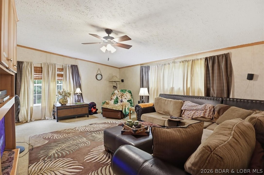 305 Dry Ridge Road Camdenton, MO 65020 - Photo 6 of 27 Livingroom