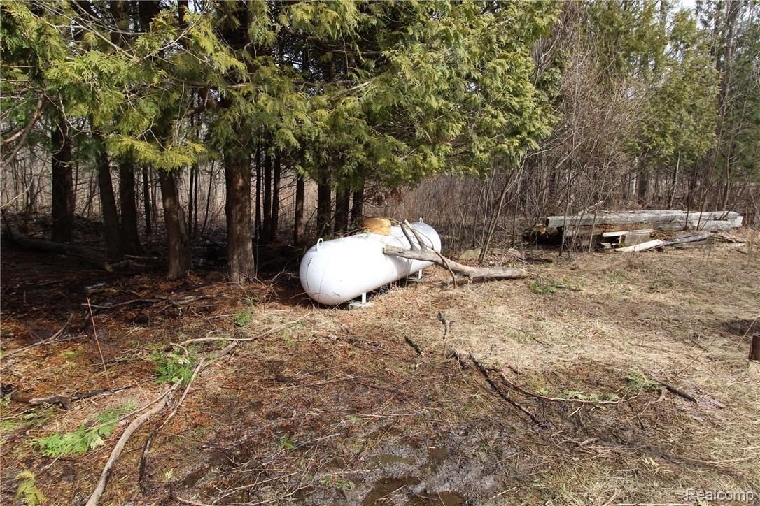 5436 Leix Road Mayville, MI 48744 - Photo 15 of 23 propane tank.JPG
