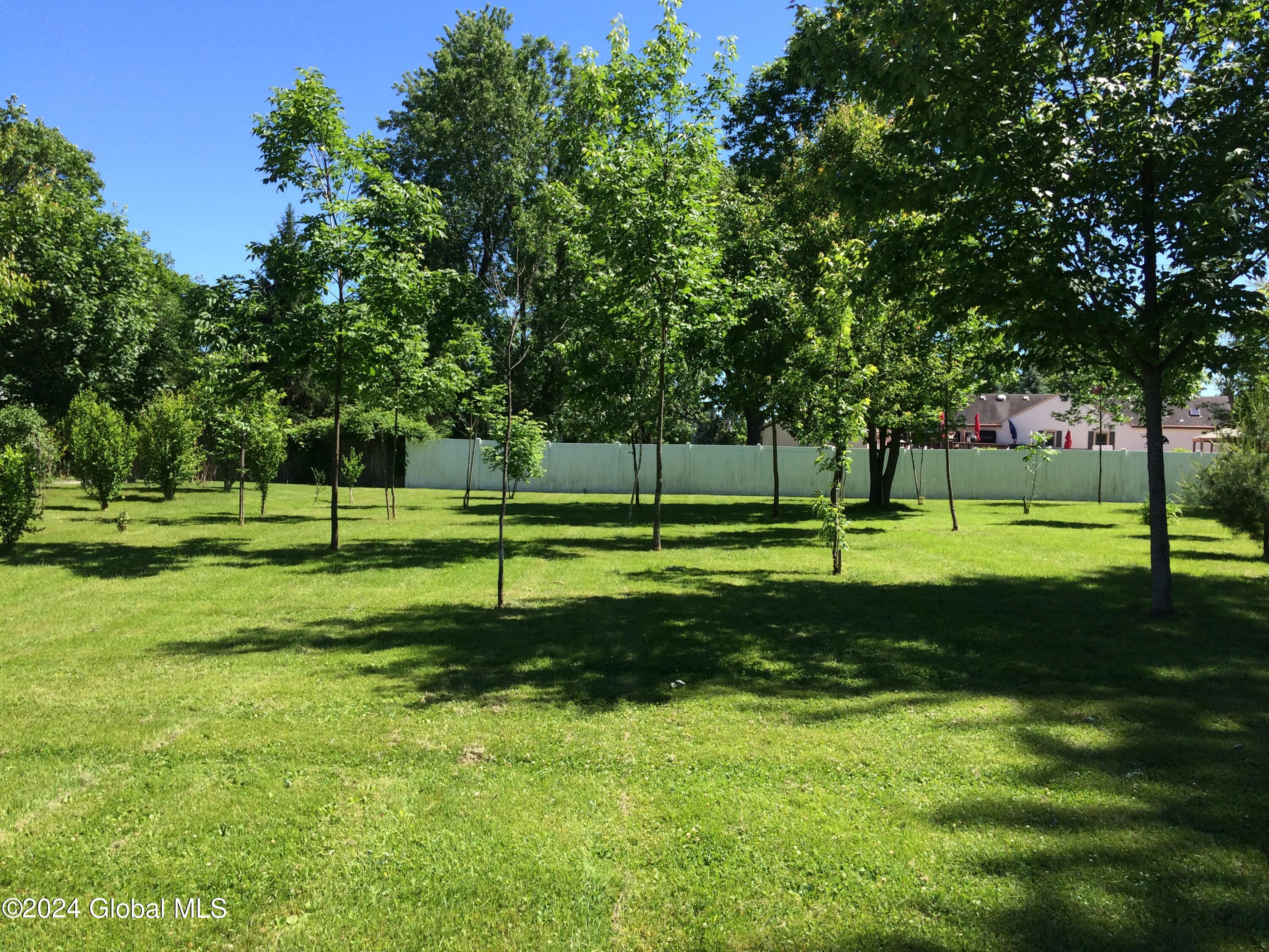 6 Hoefer Street Colonie, NY 12110 - Photo 49 of 59 IMG_2475