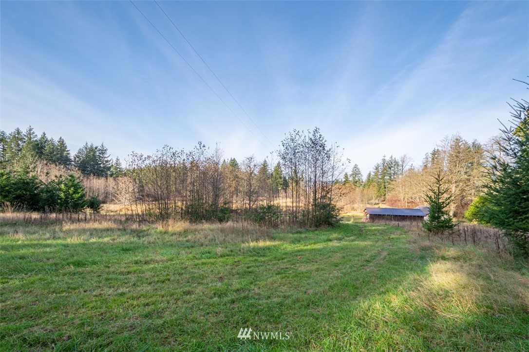 350 Gish Road Onalaska, WA 98570 - Photo 7 of 16 Gallery Image 7