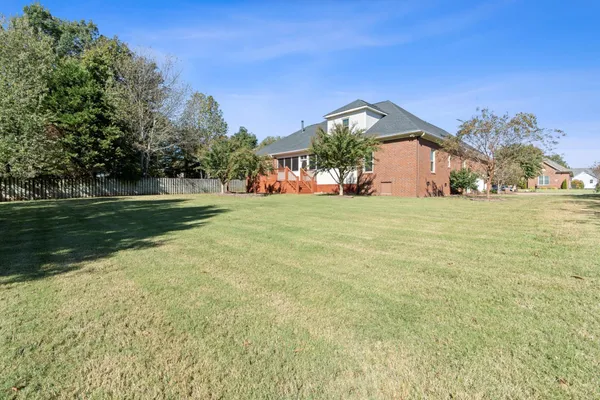 a view of a big yard with plants and a large tree