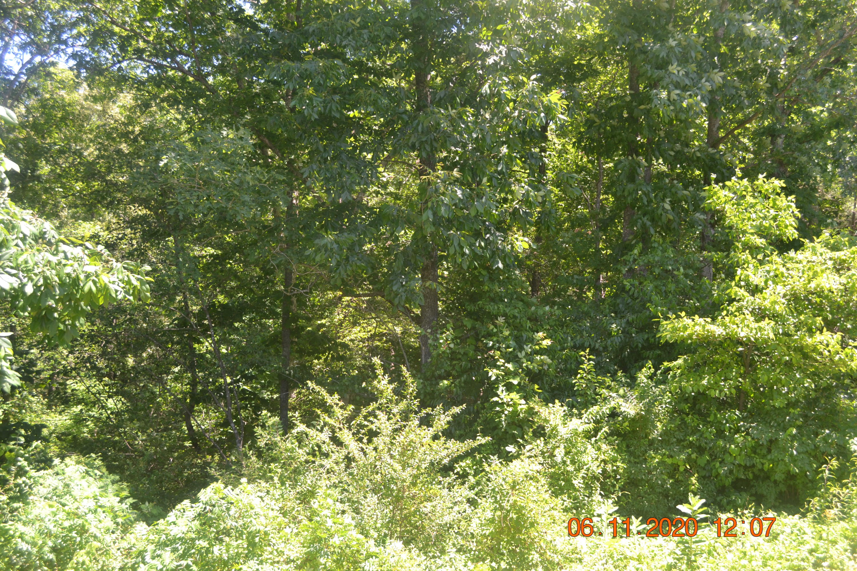 Cherokee Road Crossville, TN 38572 - Photo 1 of 1 At road