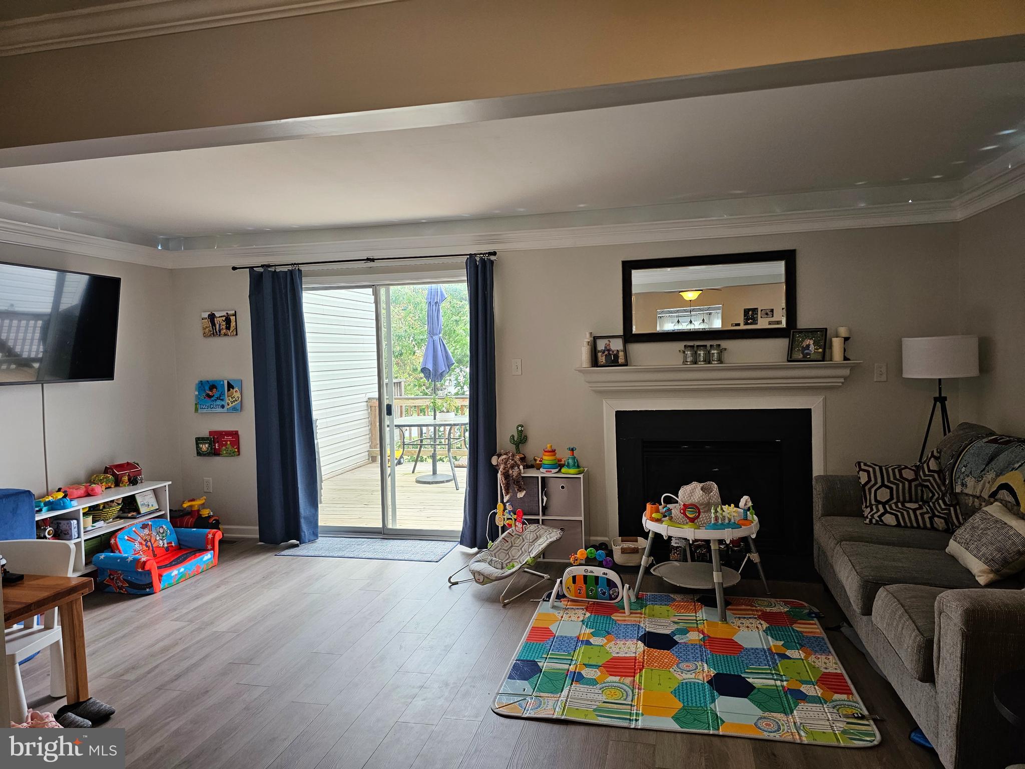 120 Eagles Ridge Smithsburg, MD 21783 - Photo 2 of 22 a living room with furniture and a fireplace or television