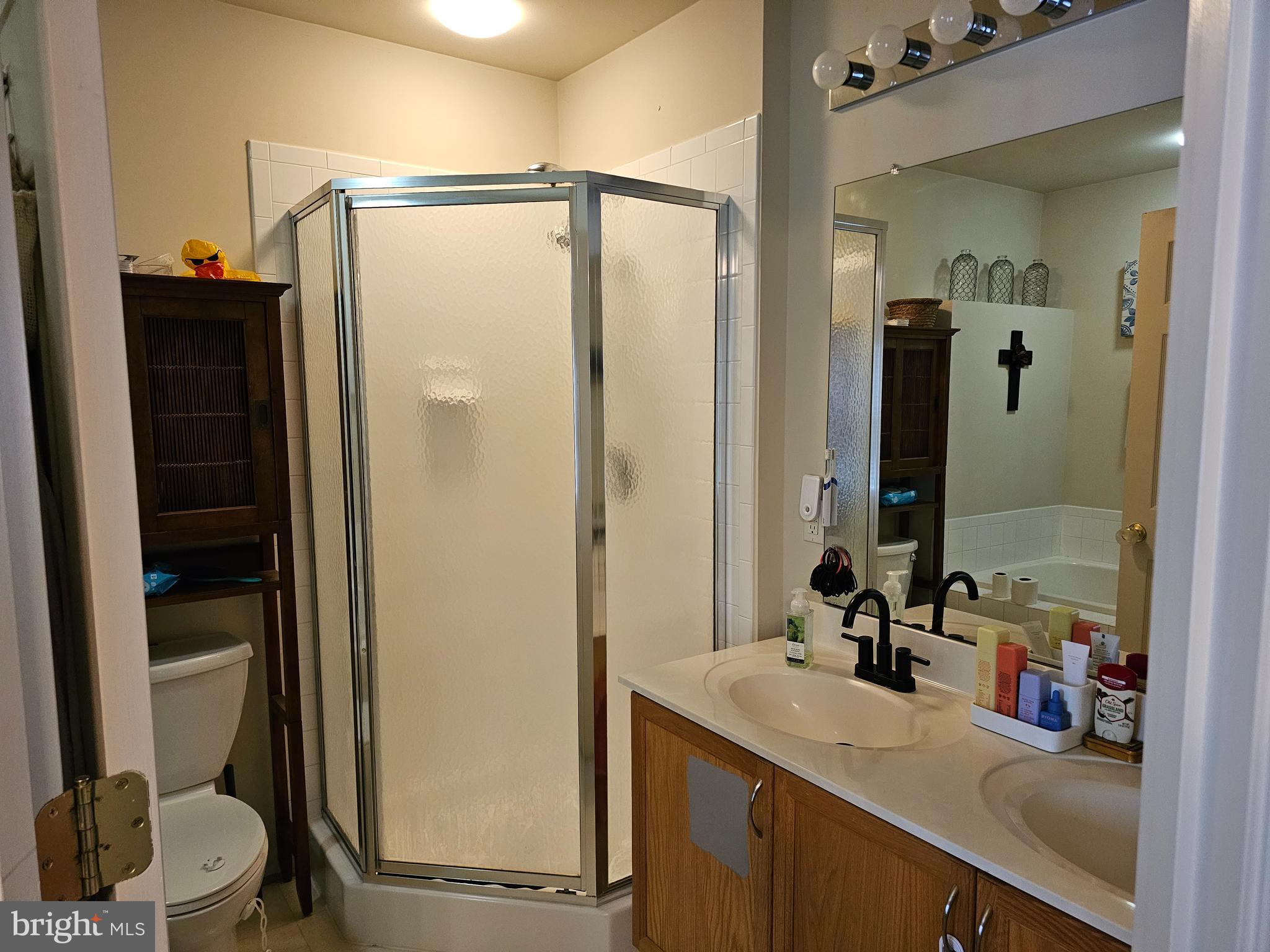 120 Eagles Ridge Smithsburg, MD 21783 - Photo 8 of 22 a bathroom with a sink a toilet and shower