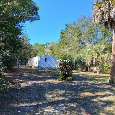 a view of a yard with plants and large trees