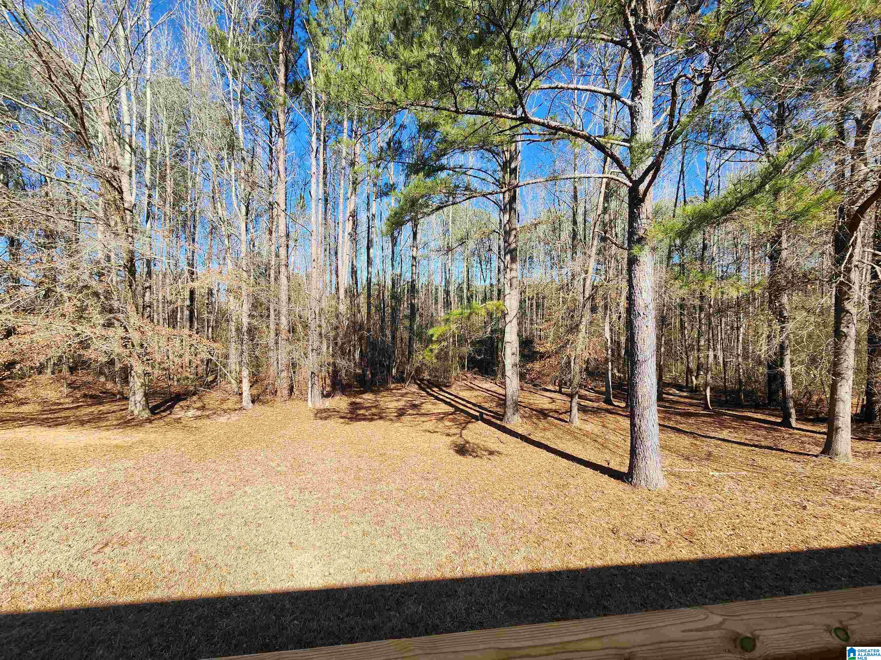 16551 Timbertop Lane Fosters, AL 35463 - Photo 39 of 40