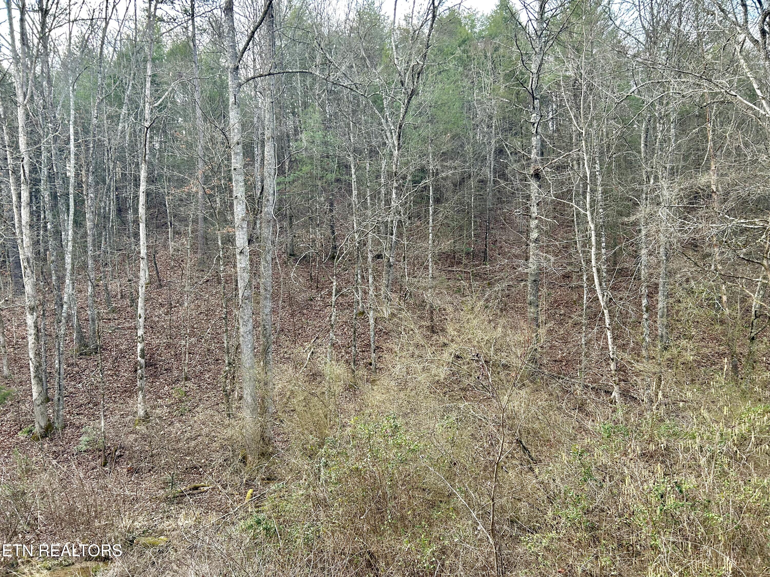 379 Maple Springs Road Reliance, TN 37369 - Photo 6 of 13 fullsizeoutput_1b41