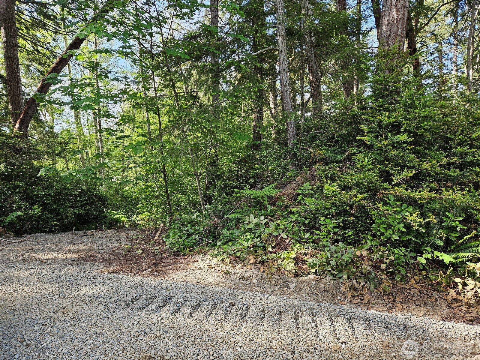 -nka Fox Road Quilcene, WA 98376 - Photo 1 of 8