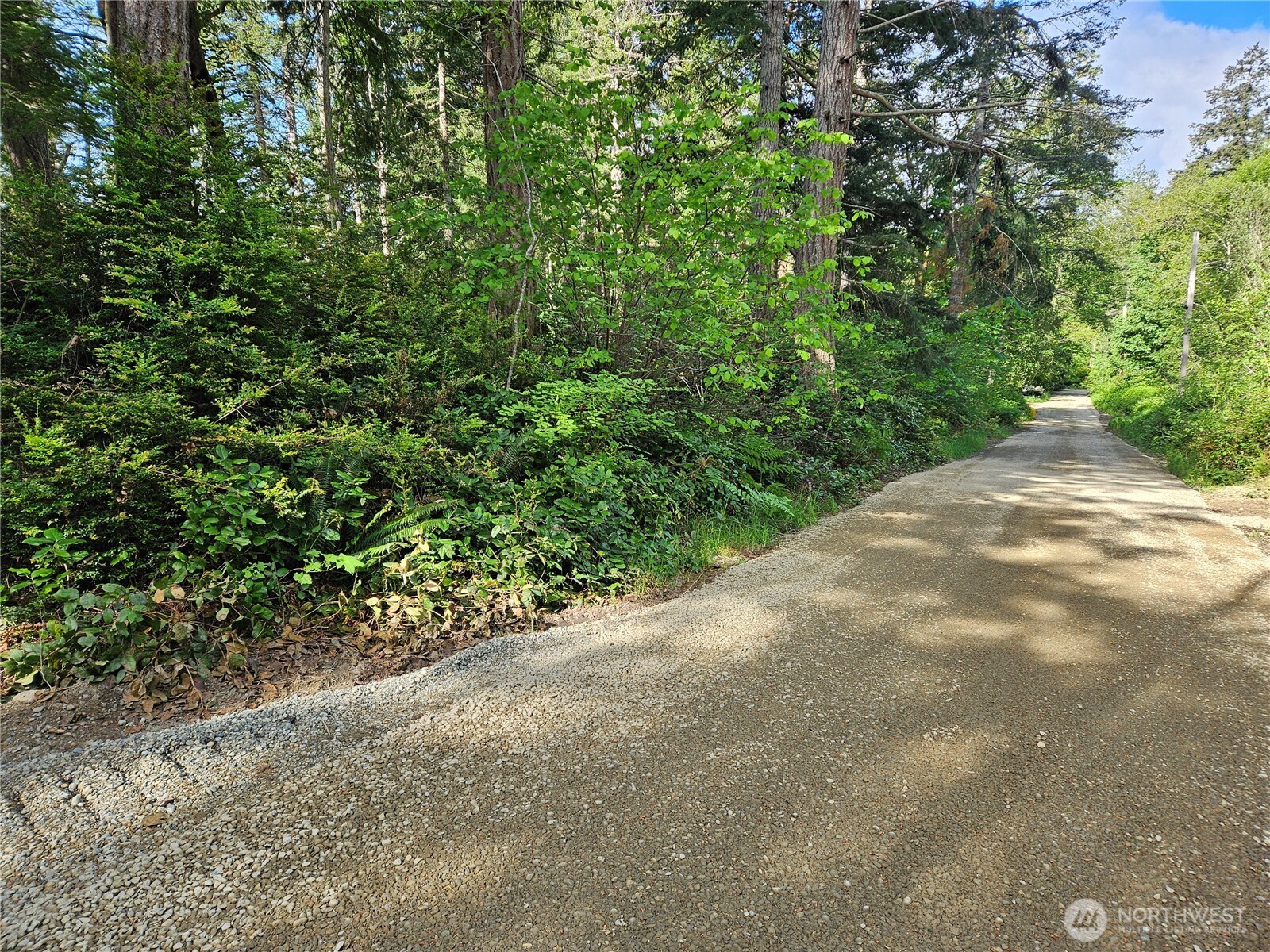 -nka Fox Road Quilcene, WA 98376 - Photo 4 of 8