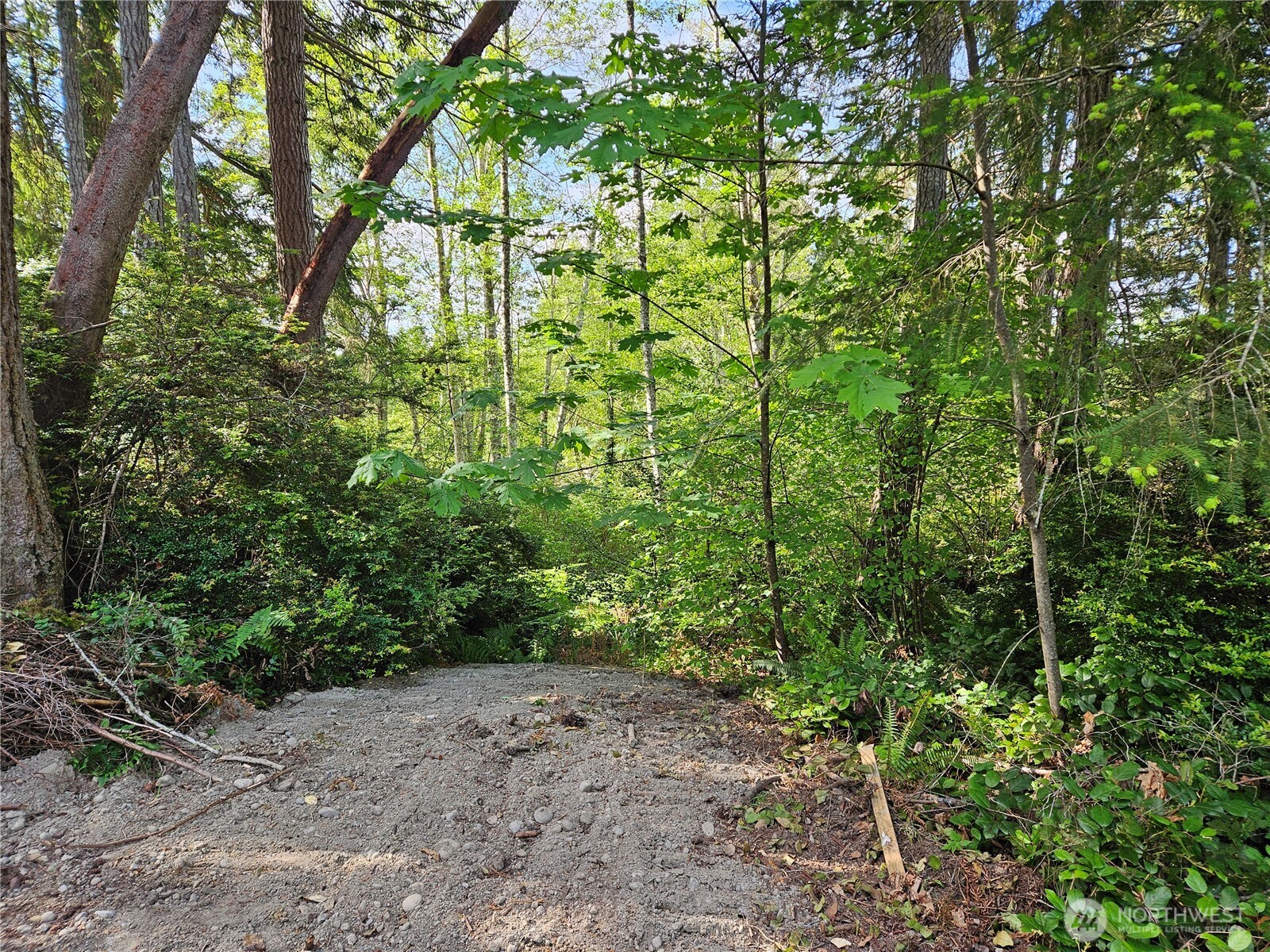 -nka Fox Road Quilcene, WA 98376 - Photo 5 of 8
