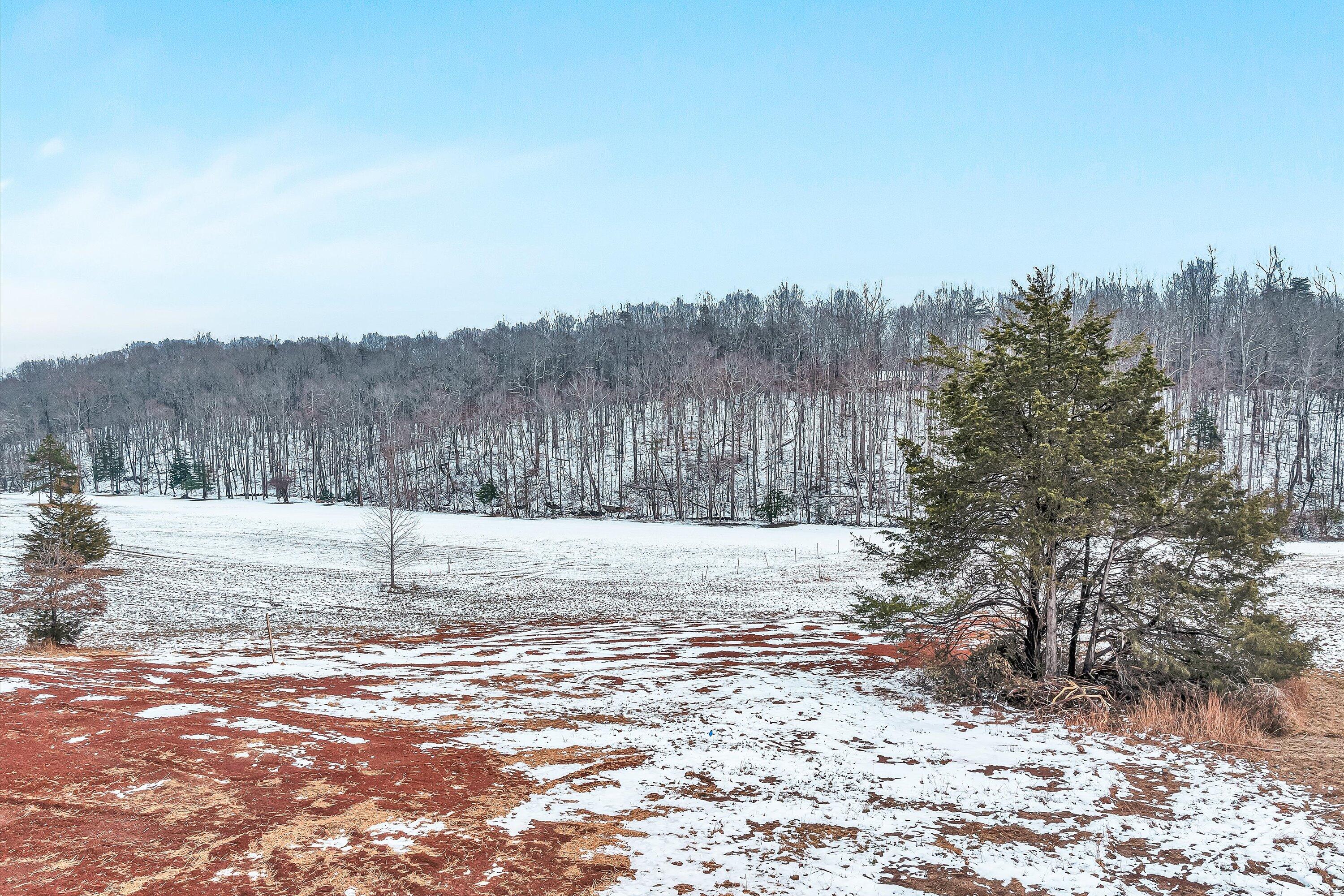 688 Wysong Ml Road Hardy, VA 24101 - Photo 36 of 42 a view of a yard with trees