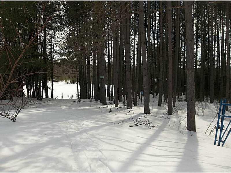 136 Embden Pond Road Anson, ME 04958 - Photo 5 of 19 Waterfront/Dock/Pier. Nice trout...