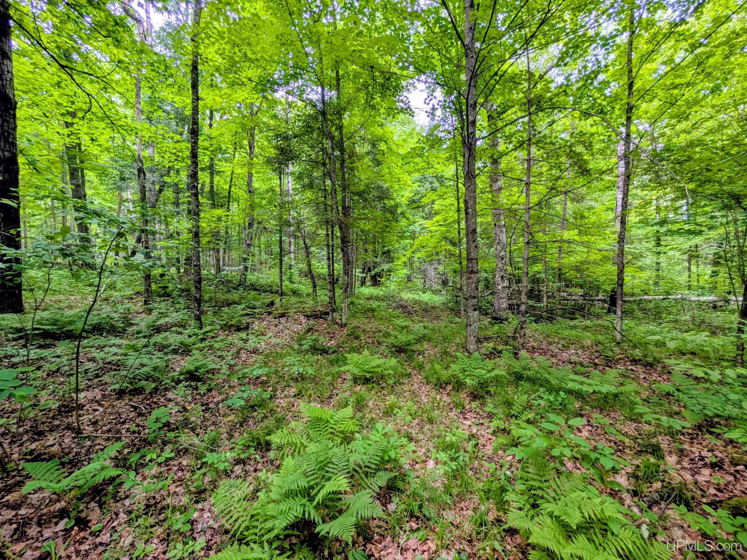 104 Forsberg Road Iron River, MI 49935 - Photo 27 of 34