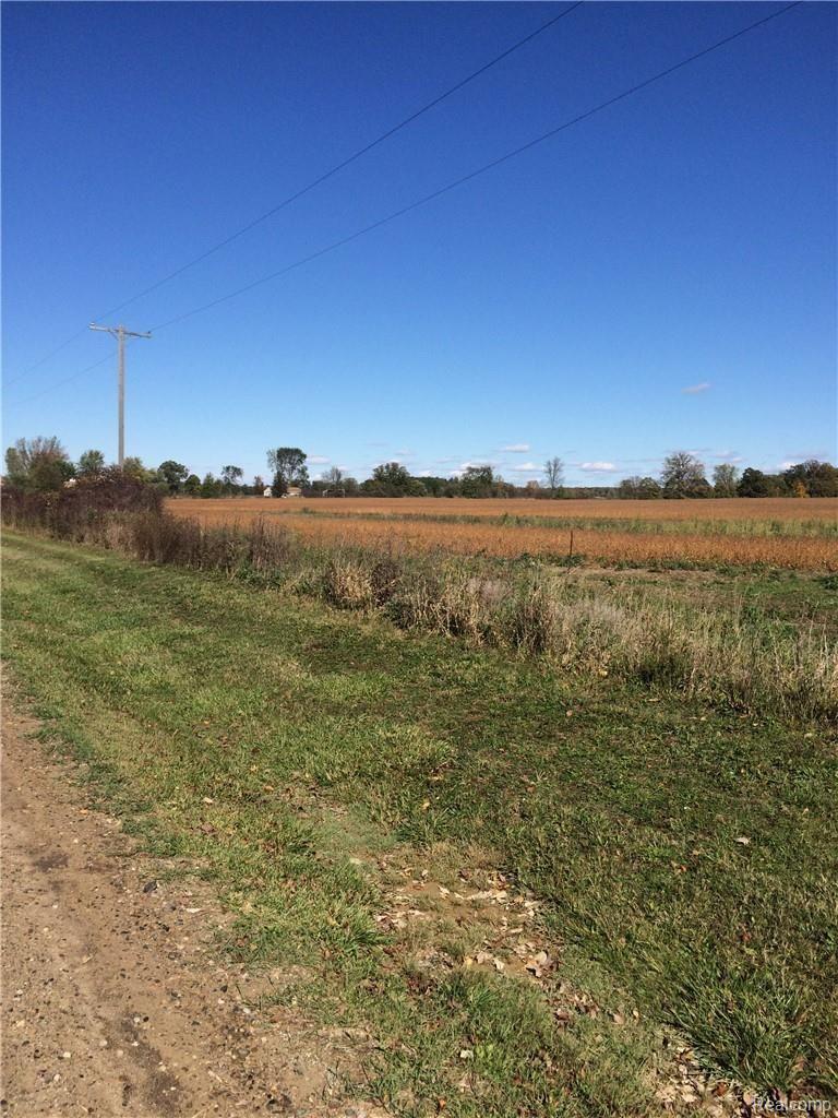 1 Church Road Imlay City, MI 48444 - Photo 1 of 2 IMG_1983.JPG