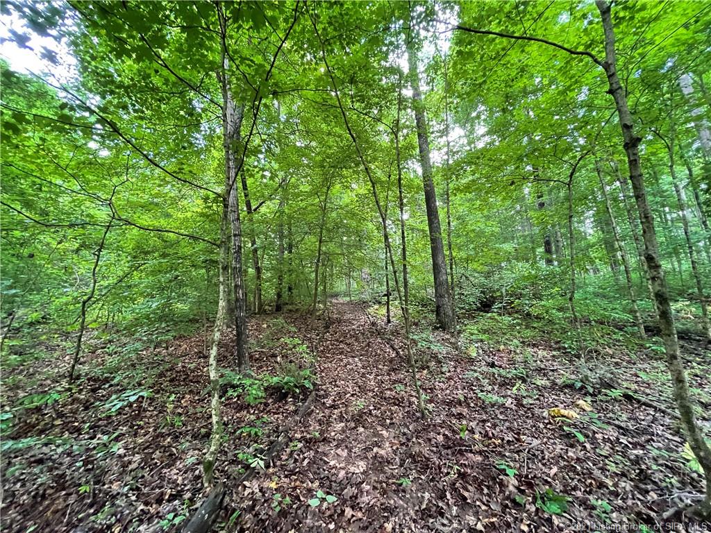 Off West Eckert Road English, IN 47118 - Photo 20 of 44 Gallery Image 20