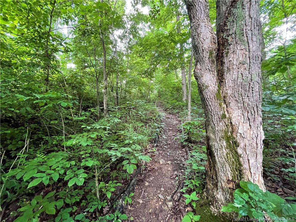 Off West Eckert Road English, IN 47118 - Photo 22 of 44 Gallery Image 22