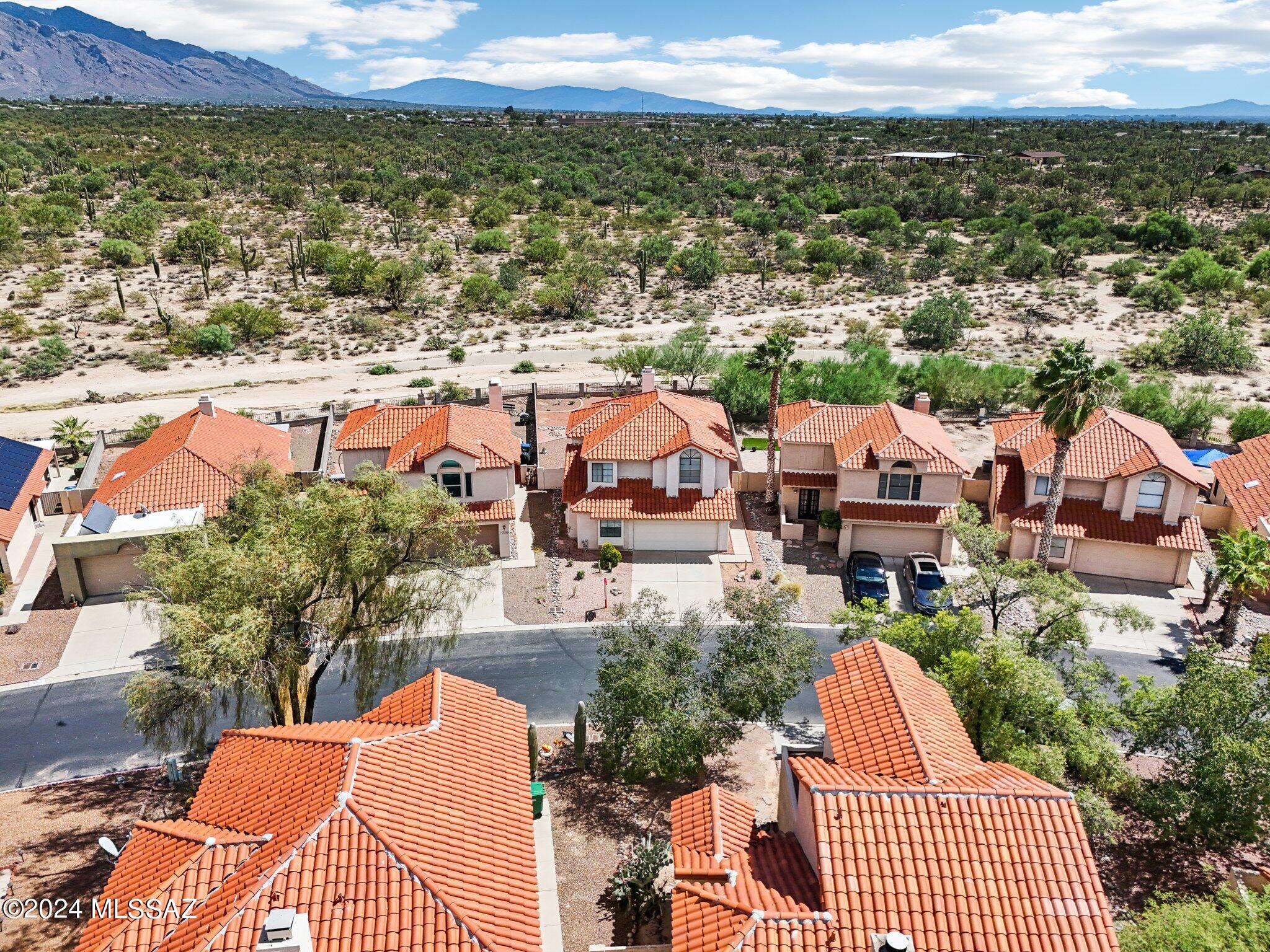 4649 West Lessing Lane Tucson, AZ 85742 - Photo 38 of 49