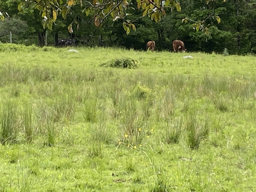 845 Town Farm Road Warren, MA 01083 - Photo 26 of 30