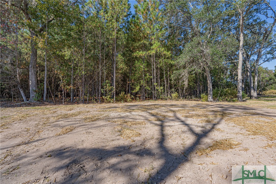 4 High Meadow Crossing Guyton, GA 31312 - Photo 26 of 31