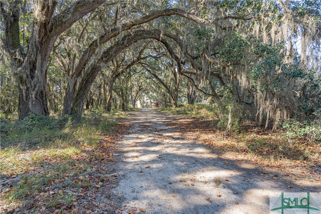 4 High Meadow Crossing Guyton, GA 31312 - Photo 31 of 31