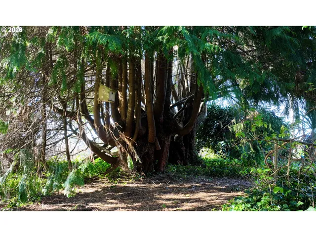 a view of a lake with a houses