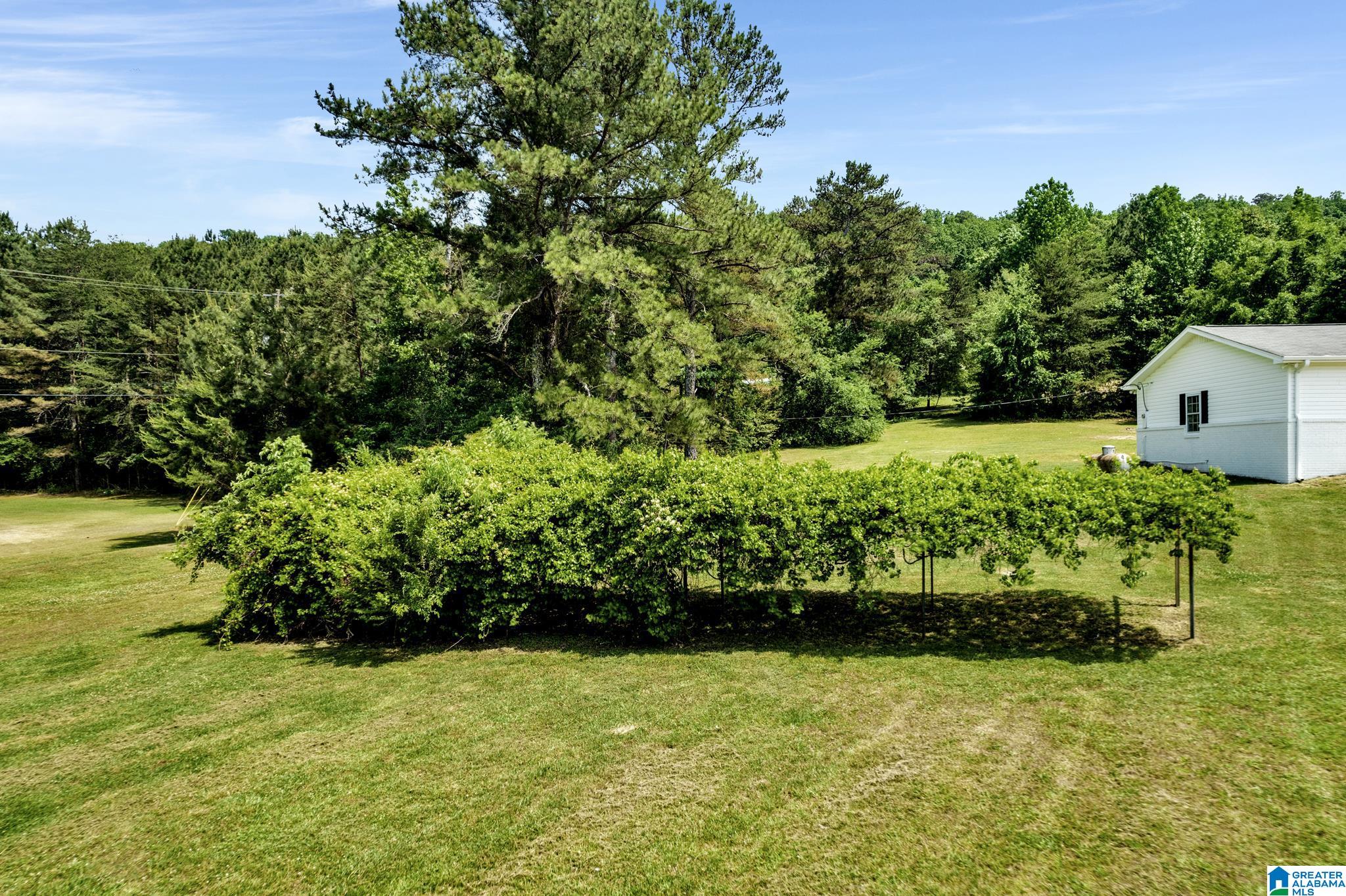 1288 Champion Road Oneonta, AL 35121 - Photo 32 of 34