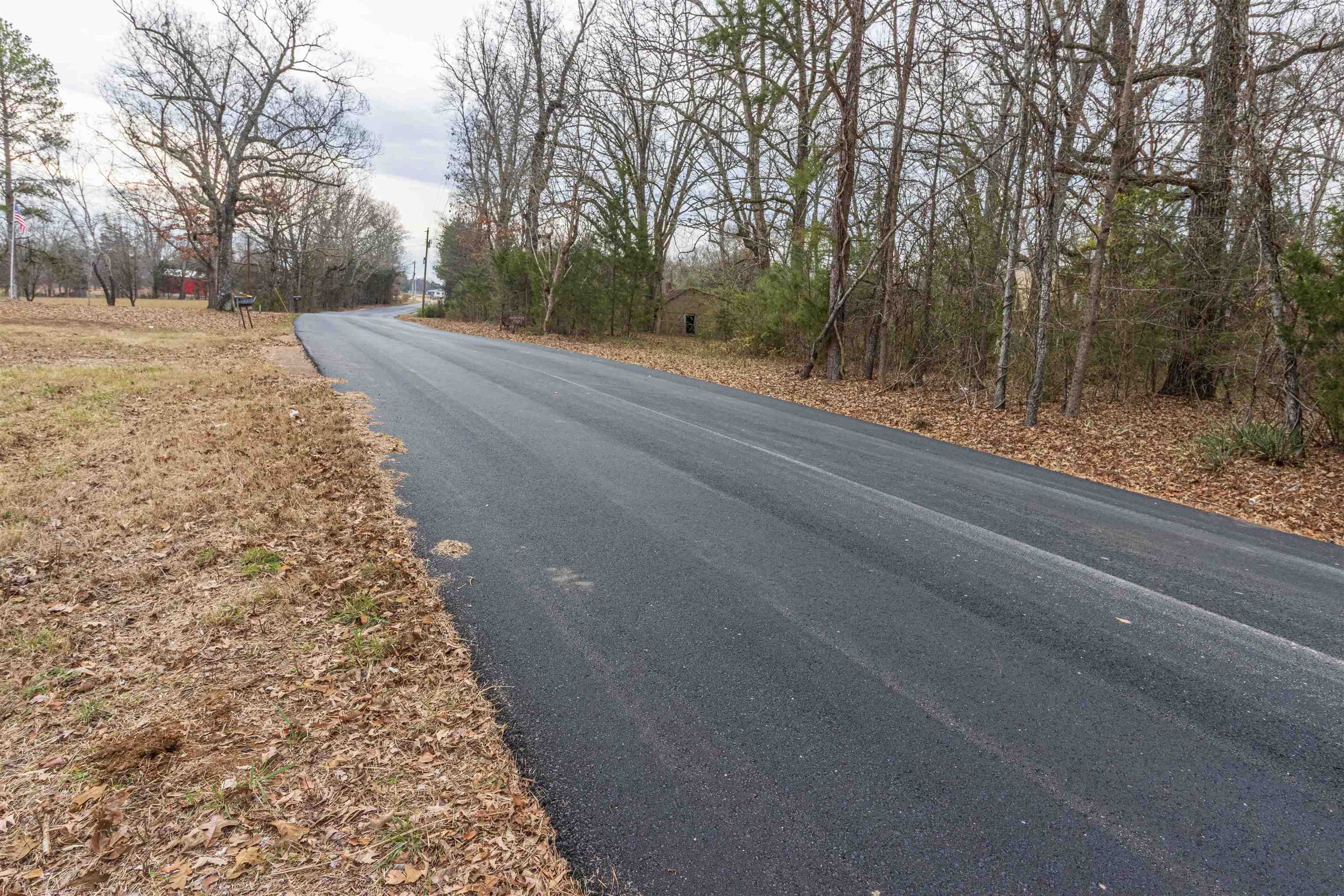 4850 Pleasant Site Road Selmer, TN 38375 - Photo 18 of 18 a view of a backyard of the house