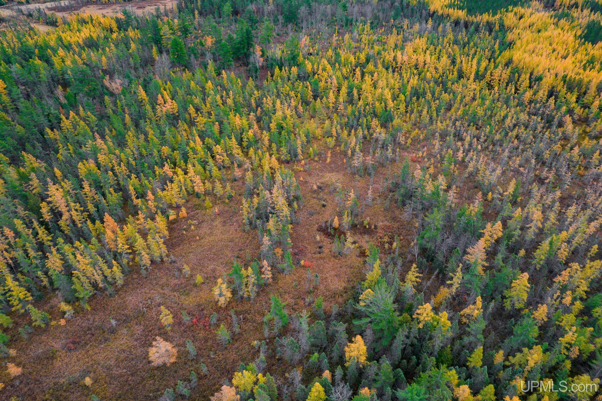 160 Acres Stella Lake Road Wetmore, MI 49895 - Photo 14 of 28