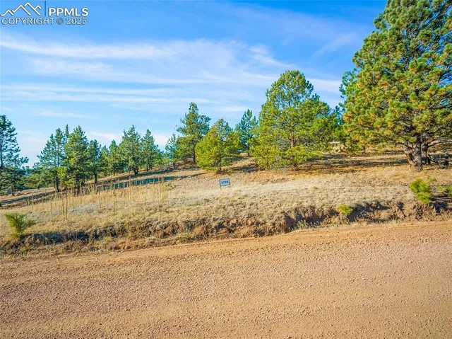 a view of a yard next to a yard