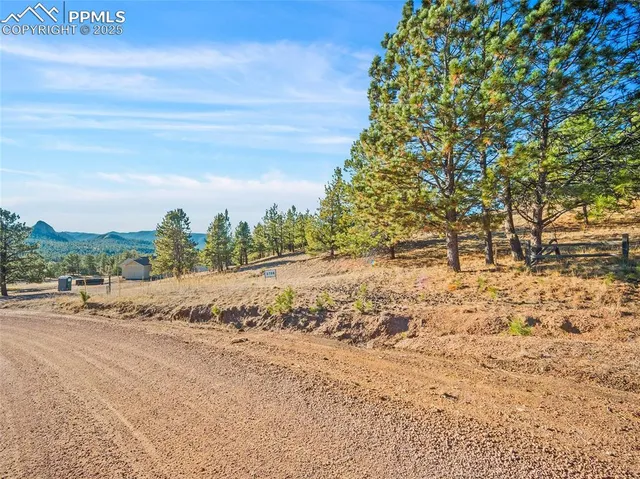 a view of a road with a yard