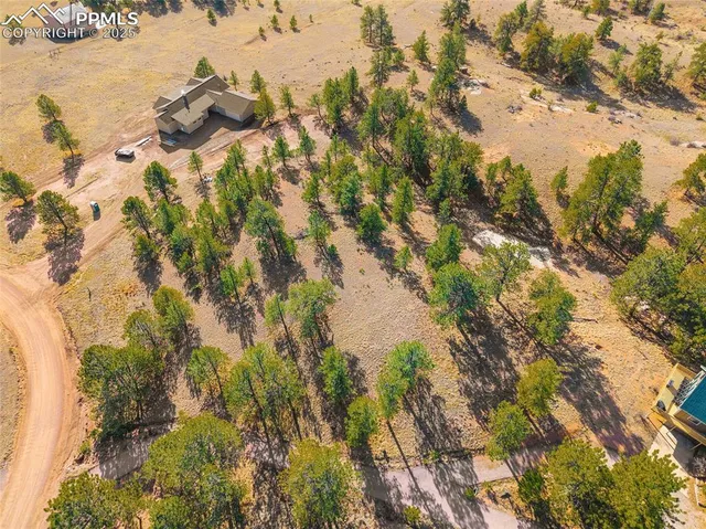 a view of a tree in a yard