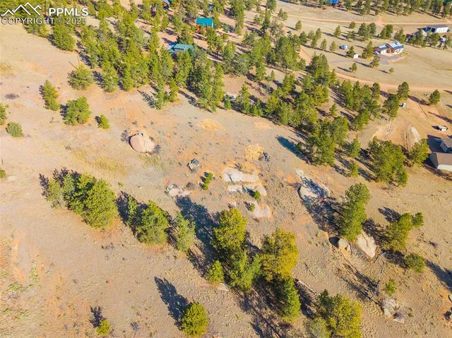 a view of a tree with a yard