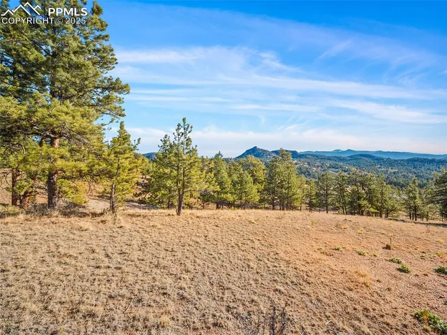 a view of an outdoor space