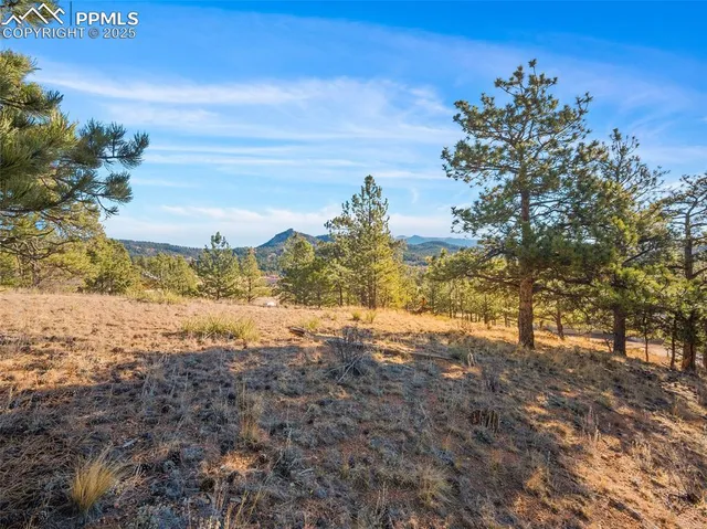 a view of a yard with a tree