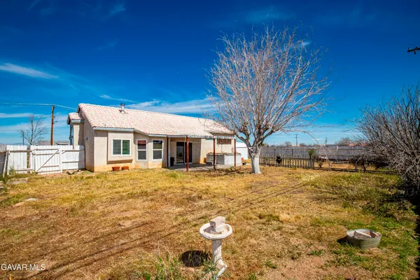 a big yard with large trees