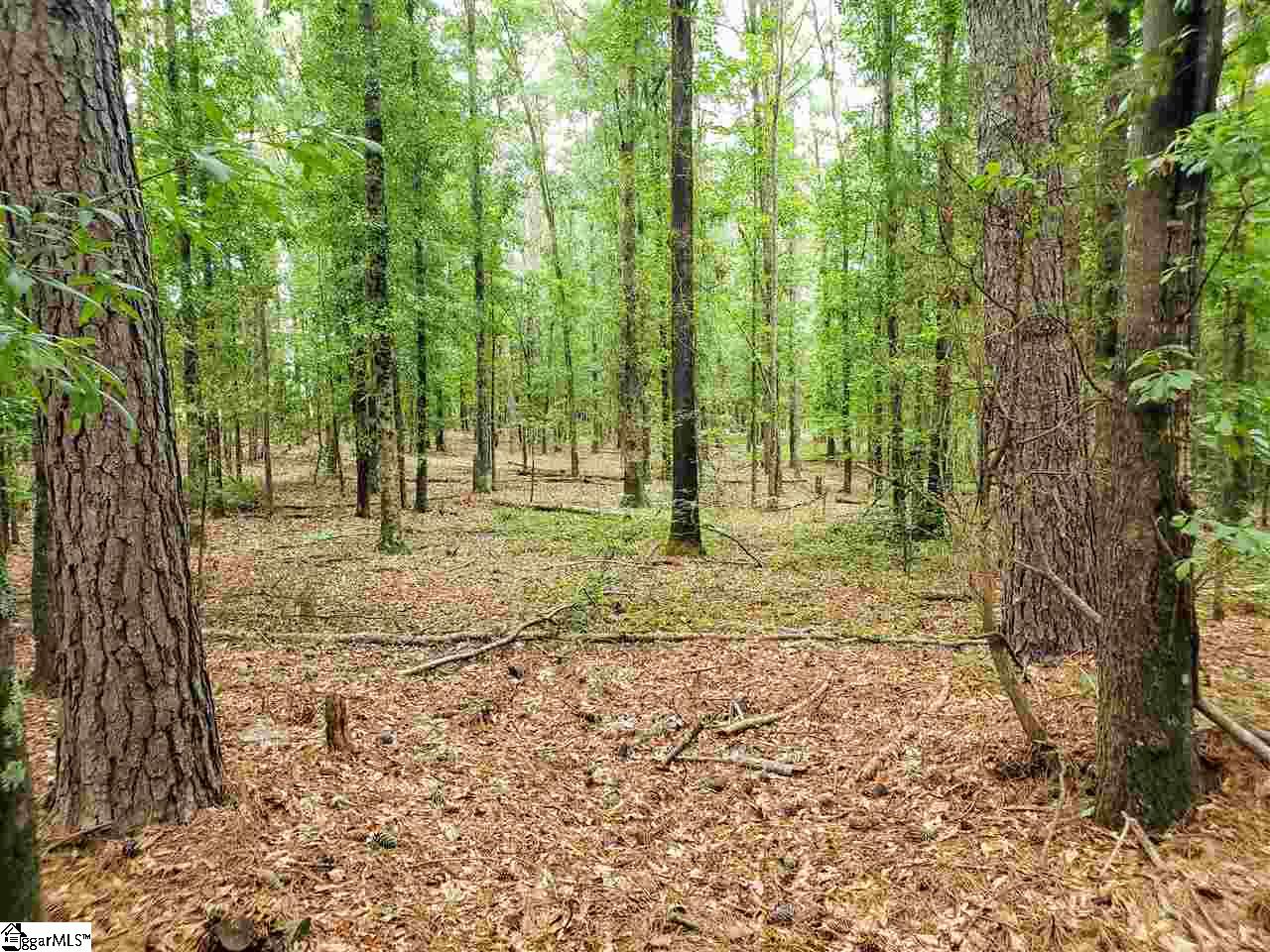 2509 Fork Shoals Road Piedmont, SC 29673 - Photo 8 of 9 Gallery Image 8
