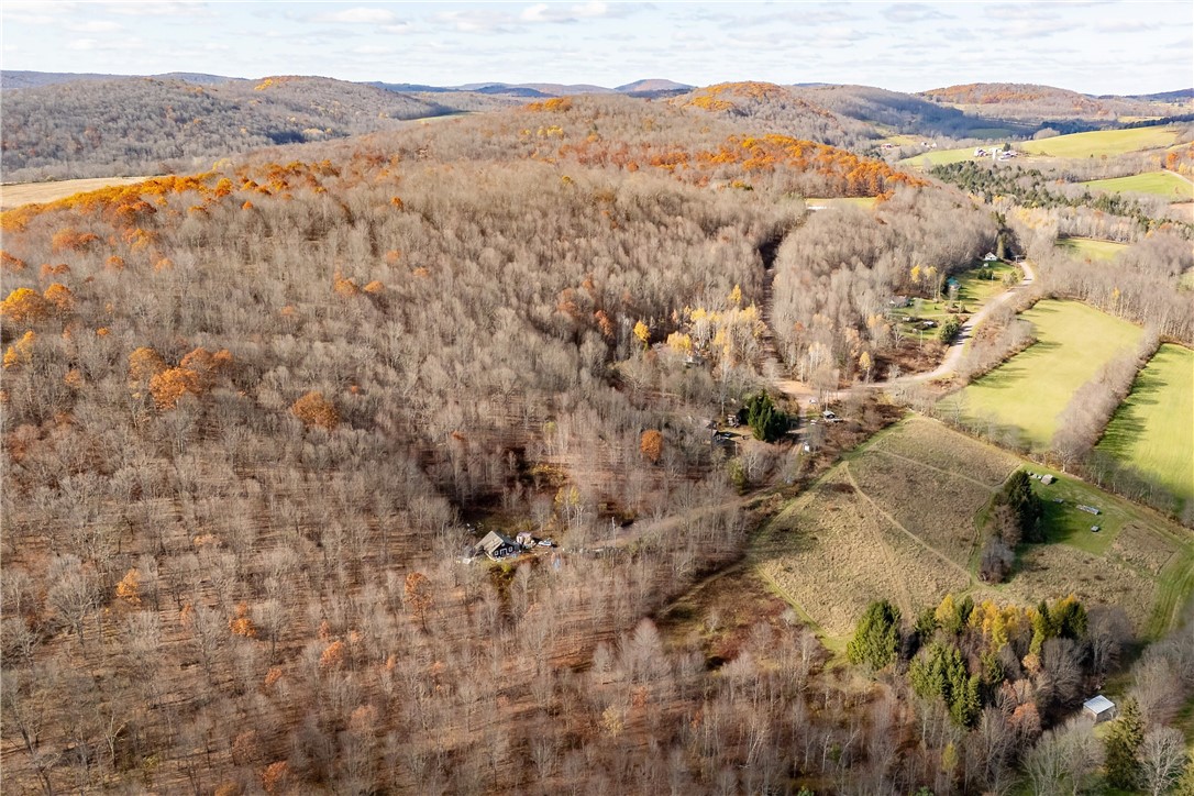 532 Lejohn Road Kortright, NY 13842 - Photo 9 of 50