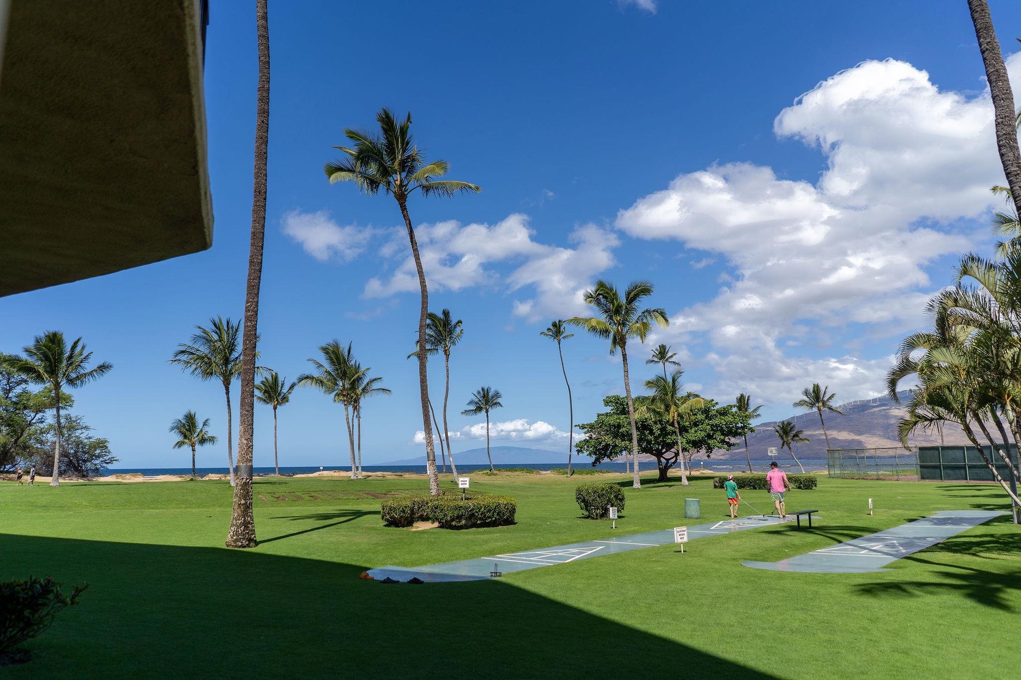 1032 South Kihei Road, Unit B420 Kihei, HI 96753 - Photo 24 of 47 a view of a garden