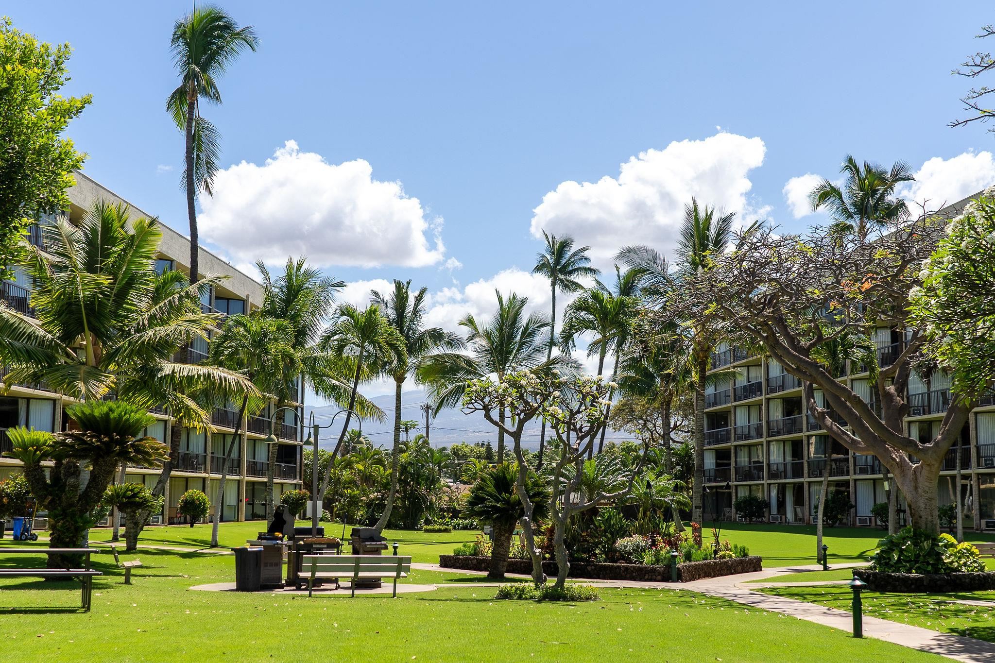 1032 South Kihei Road, Unit B420 Kihei, HI 96753 - Photo 36 of 47 a view of a yard with swimming pool