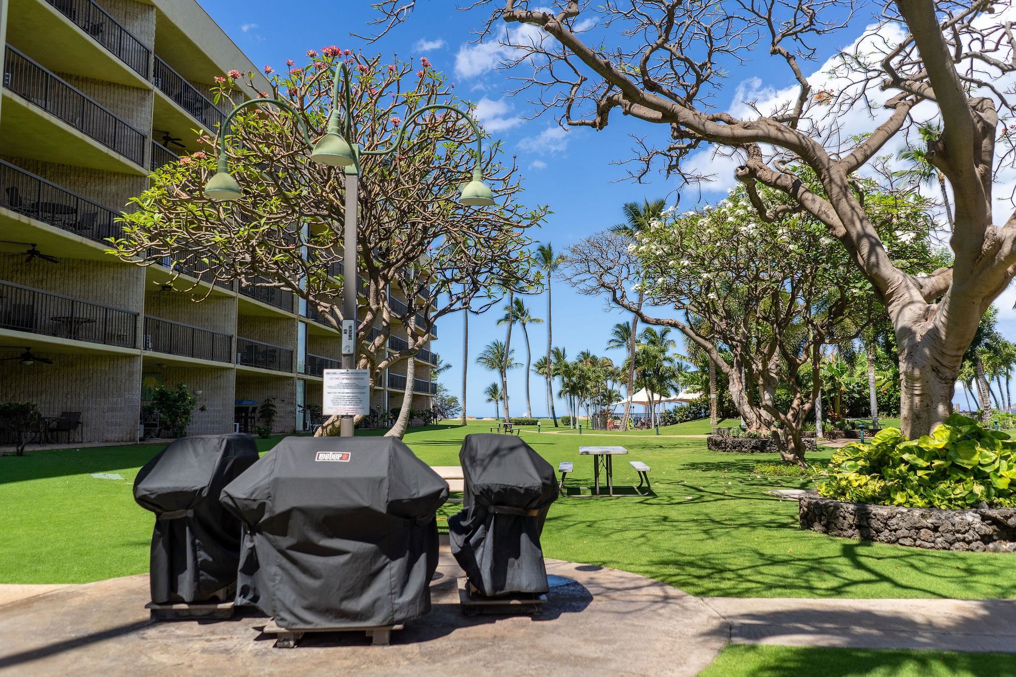 1032 South Kihei Road, Unit B420 Kihei, HI 96753 - Photo 45 of 47 a view of outdoor space yard and patio