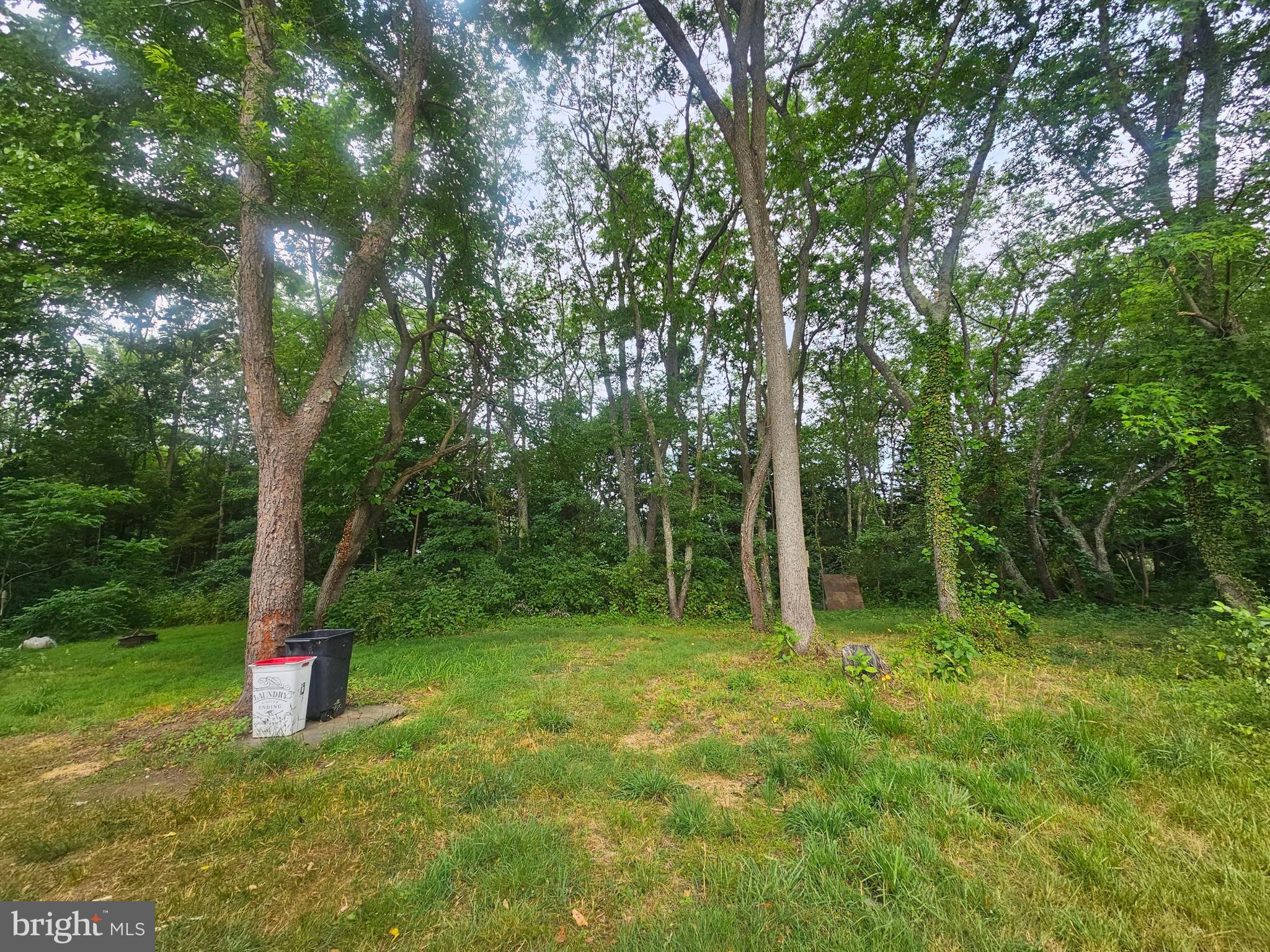 71 Button Mill Road Bridgeton, NJ 08302 - Photo 5 of 26