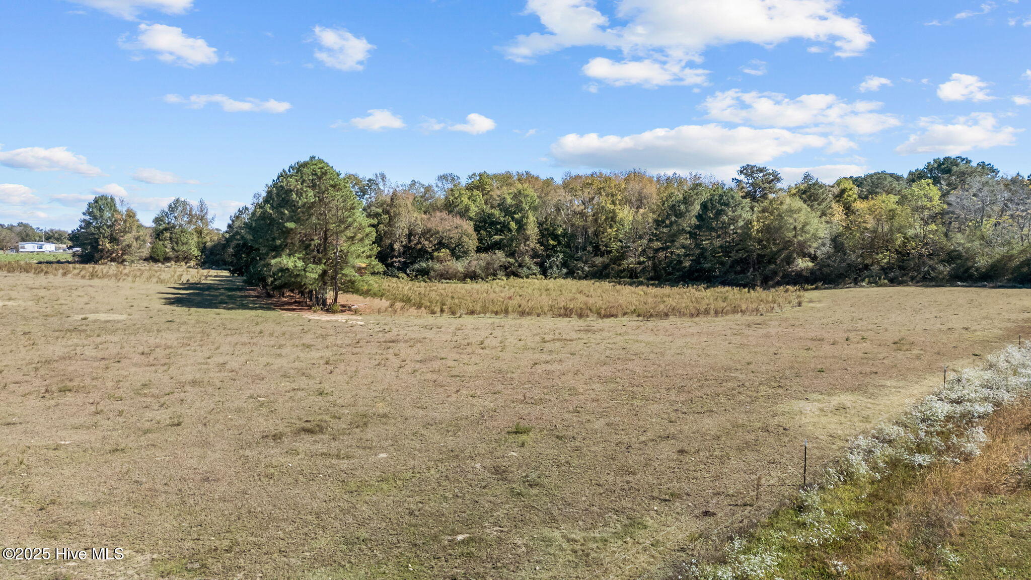 7477 Highway 58 Castalia, NC 27816 - Photo 28 of 43 22-web-or-mls-DJI_20251016133915_0168_D