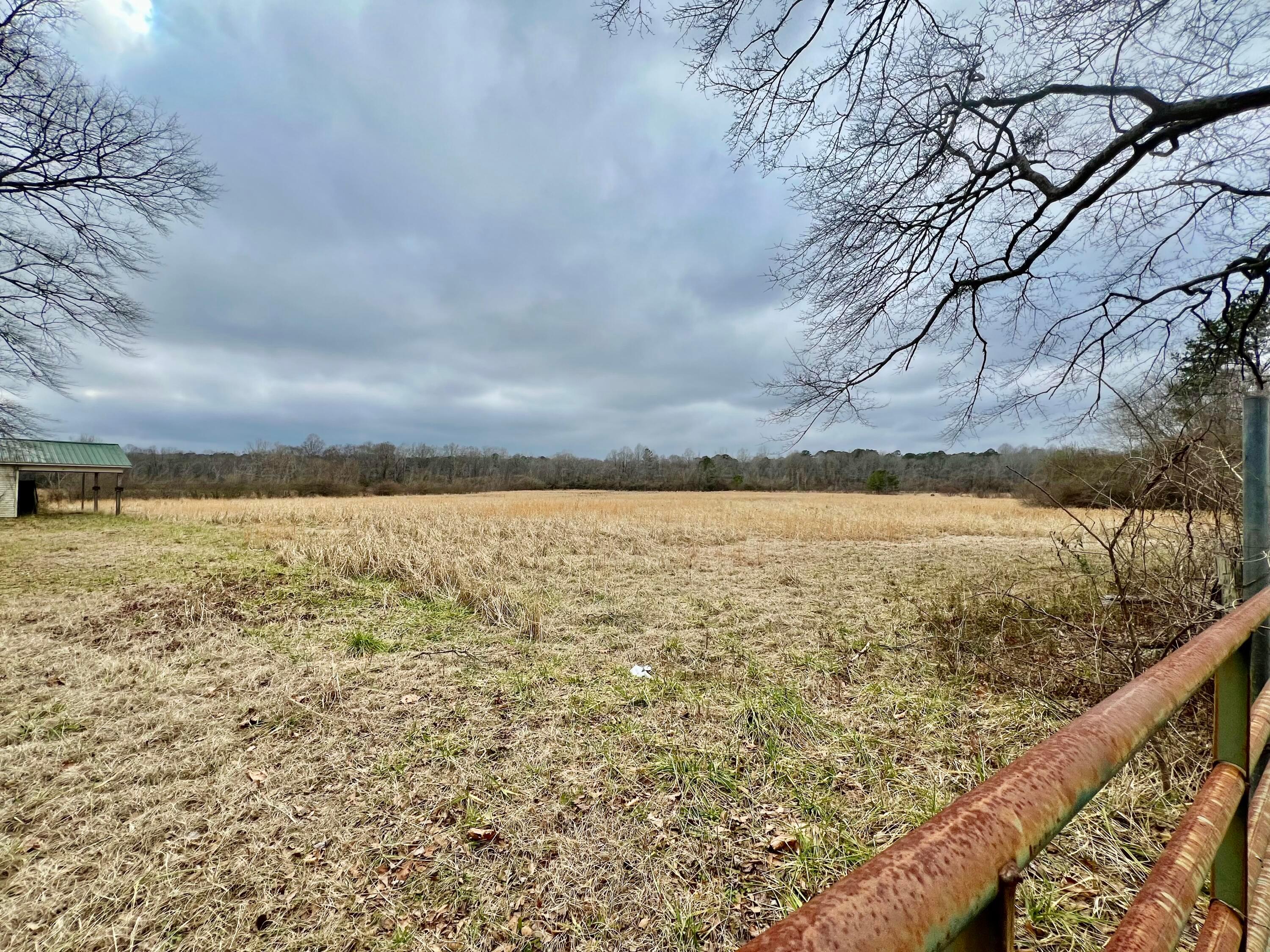 Trull Road Winfield, AL 35594 - Photo 15 of 24 Gallery Image 15